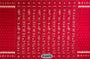 Red Patli Pure Silk Handloom Khandua Patta Saree
